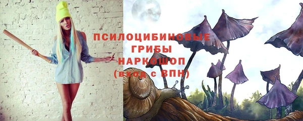 спайс Михайлов